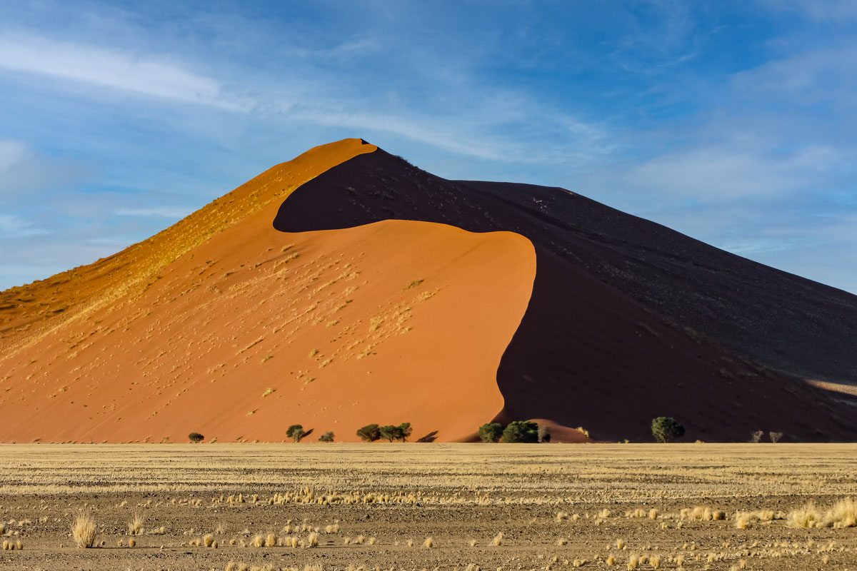 Artikelbild Namib